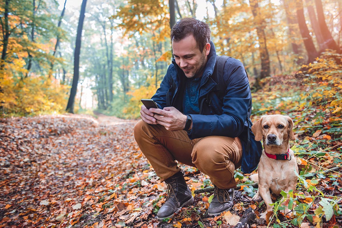 Photo d'un homme sur son smartphone, dans la nature avec son chien